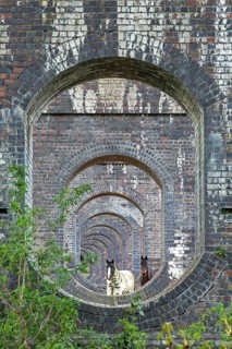 View through openings in piers of a railway viaduct, horses, Stanway, Broadway, The Cotswolds,