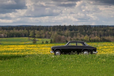 Vintage car standing on a dirt road, spring meadow, Black Forest, black Volvo Amazon, middle class