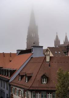 Fog, City, Freiburg im Breisgau, Germany