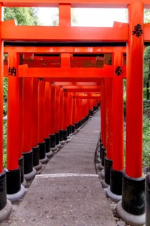 A mesmerizing pathway through the iconic vermilion torii gates at Fushimi Inari-taisha, Kyoto,