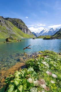 Young man, mountaineer jumping into a mountain lake with view of mountain peaks, Lac du Louvie with