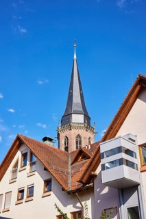 Church tower of St. Nikolaus, residential building, pointed roof with red roof tiles, frog