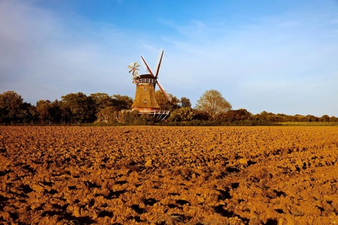 Traditional windmill in Oldsum, Föhr, North Frisia, Germany
