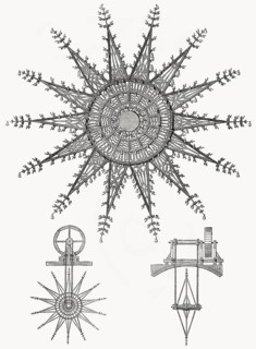 Ein Glockenrad, Musiktheorie von Athanasius Kircher, 1602- 1680, einem deutschen Jesuitengelehrten