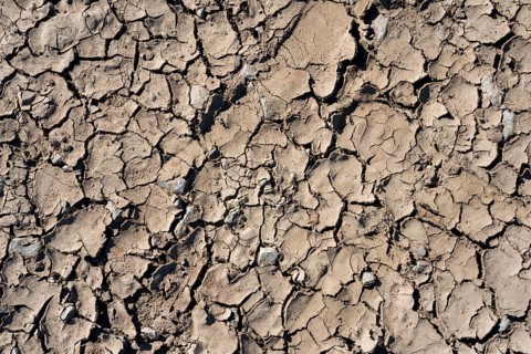 Dry puddle