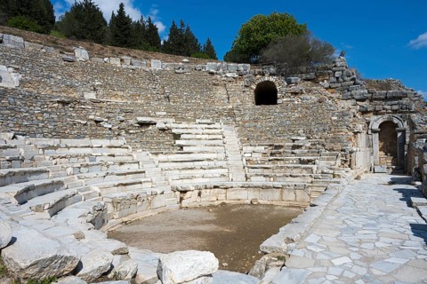 Ancient amphitheatre with curved rows of stone seats surrounded by ruins and trees, theatre, Efes,