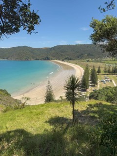 Picturesque coastal landscape with sandy beach and turquoise sea, surrounded by lush vegetation