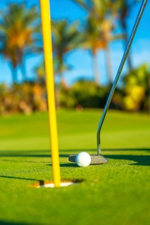 Golf club and golf ball on a green lawn in a beautiful golf course