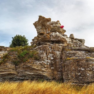 Cliff made of reef limestone, coastline, distinctive rock formation, Raukar, limestone column,