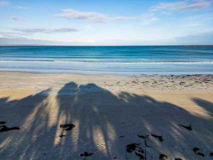 A peaceful beach scene featuring calm waves and a clear sky in Victoria, Australia. Shadows of palm