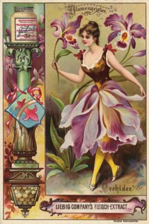 Picture series Flower spirits, woman with orchid, Liebig picture, digitally restored reproduction