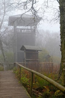 Fog, Bohlenweg observation tower in the Rotes Moor nature reserve, Hessian Rhön, Hesse, Germany
