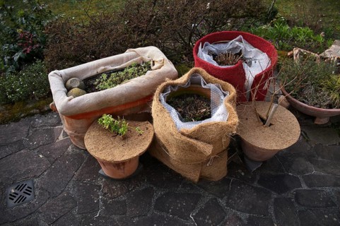 Jute, jute fabric and coconut mat, frost protection, winter protection, plant cover for pot plants,