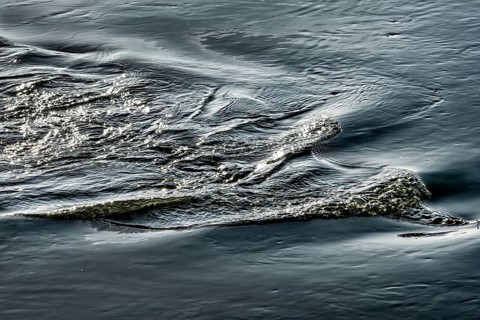 Waves on the Weser River, Wesertal, Weserbergland, Germany