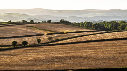 Colours of Devon Farms and Fields over Paignton and Berry Pomeroy, Totnes, England, United Kingdom