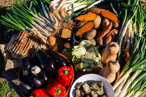 A vibrant display of ingredients for calsotada, showcasing fresh vegetables, bread, and spices.