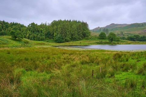 View of a lake surrounded by trees and green fields under a cloudy sky, Loch Awe, Scotland, United