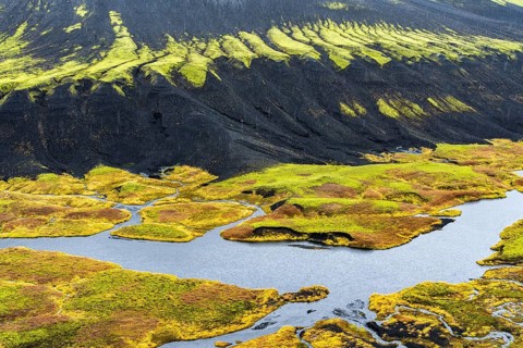 Aerial view of Iceland's riverside showcases unique textures with vibrant green moss contrasting