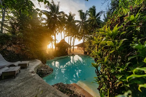 Serene tropical resort pool surrounded by lush green foliage, featuring sun loungers and a backdrop