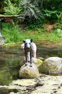 Heidelberg, Germany - June 8th 2024: Dog imitating wolf sculpture at historic well called
