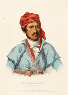 Timpoochee Barnard. An Uchee Warrior (1838), Native American, Historical Native American tribes