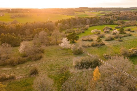 Fields and forests stretch out in a warm evening light, e-bike tour, old sports field in Gechingen,