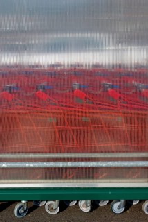 Shopping trolley behind plexiglass, shopping, economy, bankruptcy, recession, inflation