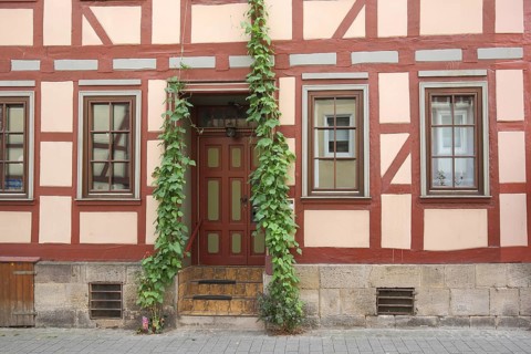 Half-timbered house with front door and window, climbing plants, church square, Hann. Münden,