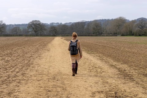 Field, footpath to Batsford Arboretum, woman, pedestrian, Moreton-in-Marsh, Cotswolds, England,
