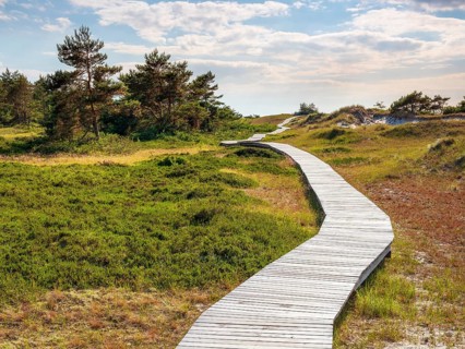 Bohlenweg winds through the dunes at Darßer Ort, core zone of the Western Pomeranian Lagoon Area