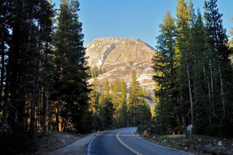 Winding road leads through a dark forest with a mountain in the background, illuminated by warm