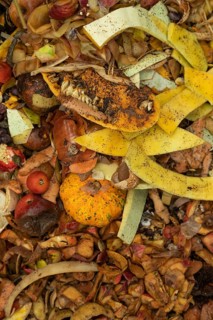 Compost pile made of organic food, leaves, vegetable and fruit Waste mix, Zero waste and Eco