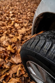 Driving on autumn leaves, slippery surfaces, leaves, grip from winter tyres