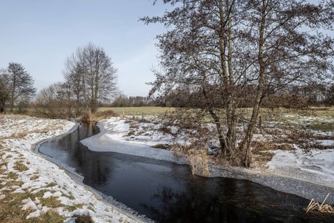 Stream with alders (Alnus glutinosa), Fischerhuder Wümmeniederung, Lower Saxony, Germany