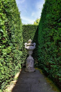 Gallery between two hedges, yew (Taxus baccata), topiary, topiary, light and shade, Sissinghurst