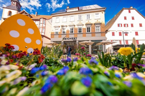 Colourful flower view of a sunny town with historic architecture and blue sky, Nagold, Calw