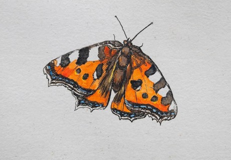 Little fox, butterfly, hand-colored copper engraving by Daniel Rabel from Theatrum Florae, 1620 and