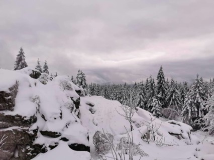 Snowy rocky landscape with trees under grey skies, conveys a cold natural scene, hiking in the