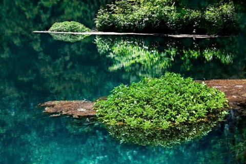 The Rhume Spring with blue-green colouration, source of River Rhume, large karst spring, Harz