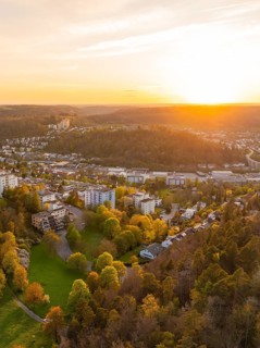 City view with forest in the background at sunset, quiet and peaceful atmosphere, Nagold, Black