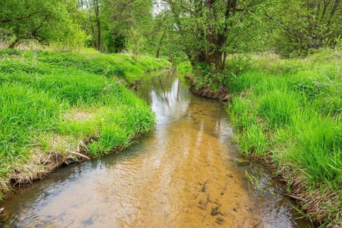 Lanscape of a little stream flowing through the forest in spring on a rainy day, Bavaria, Germany