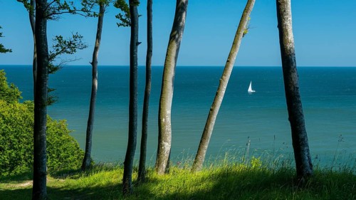 View of the Baltic Sea from the chalk cliffs in Jasmund National Park on Rügen with a sailboat,