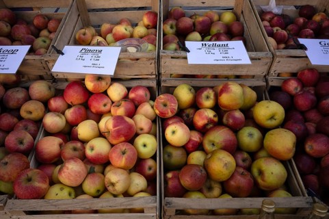 Range of different types of apples, Pinova, Wellant, apples, apple boxes, fruit, weekly market