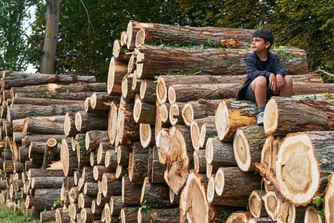 A young child sits thoughtfully on a stack of cut logs, highlighting the impact of deforestation.