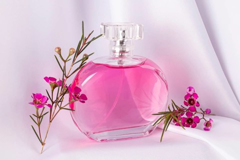 Elegant pink perfume bottle displayed alongside fresh pink flowers on a soft white background,