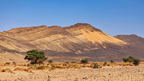 A dry desert landscape with sand hills and rocks under a clear sky, The desert landscape of the
