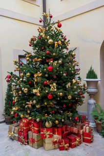 Christmas tree, presents, Christmas, Christianity, Christian customs, Prague, Czech Republic