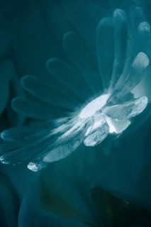 Close-up of a beautifully carved ice sculpture from a temporary ice hotel in Swedish Lapland. The