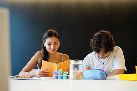 Two engaged teenagers, a non-binary person and a woman, study together in a bright classroom