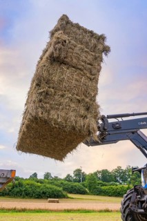 A tractor lifts a large bale of hay in a field, surrounded by trees and a cloudy sky, Dachtel.